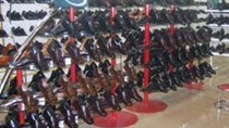 Báo cáo thị trường da giày Trung Quốc và dự báo năm 2015