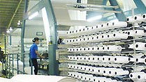 Nhập khẩu xơ, sợi dệt các loại của Việt Nam 11 tháng đầu năm 2010 tăng cả về lượng và trị giá