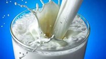 Nhập khẩu sữa và sản phẩm sữa trong quí I/2010 đều tăng trưởng về kim ngạch
