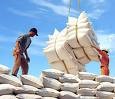 Mở liên doanh lúa gạo với Campuchia