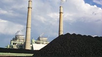 Xuất khẩu than sang các thị trường giảm gần 15% về kim ngạch