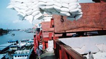 Xuất khẩu gạo của Việt Nam sụt giảm trong năm 2013