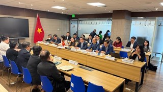 Thúc đẩy hợp tác thương mại gạo ổn định, bền vững giữa Việt Nam và Philippines