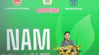 Chuyển đổi xanh mở lối cho mô hình tăng trưởng bền vững của Việt Nam