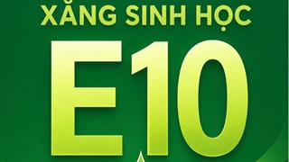 Cẩm nang sử dụng Xăng E10