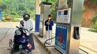 Xăng E10: Nhiều hãng xe công bố tương thích