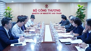 Thứ trưởng Nguyễn Hoàng Long làm việc các doanh nghiệp Nhật Bản về LNG
