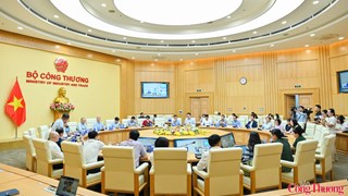 Hệ thống Thương vụ tăng kết nối, đồng hành doanh nghiệp mở rộng xuất khẩu