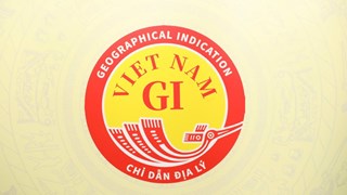 Ngày này năm xưa: Việt Nam công bố Biểu trưng chỉ dẫn địa lý quốc gia (2022)