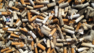 Rác thải từ đầu lọc thuốc lá đang tạo nên mối đe dọa lớn đến ô nhiễm môi trường