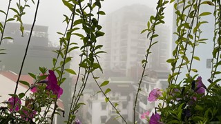 Dự báo thời tiết Hà Nội ngày mai 7/5/2024: Hà Nội mưa dông rải rác, trời dịu mát