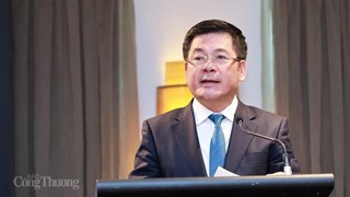 Diễn đàn Doanh nhân Việt Nam tại Australia