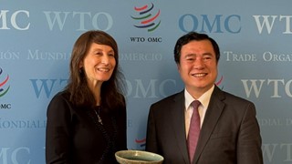 Thứ trưởng Nguyễn Sinh Nhật Tân làm việc với Phó Tổng giám đốc WTO Angela Paolini Ellard