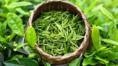 Xuất khẩu chè Việt Nam: Sụt giảm về lượng, bứt phá nhờ đòn bẩy giá