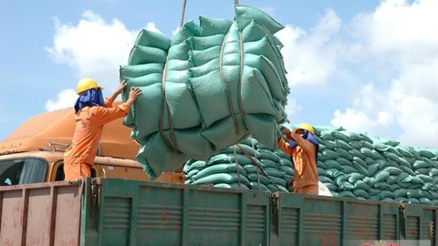 Đưa nông sản Việt tiến sâu vào UAE nhờ lợi thế CEPA