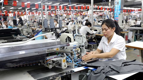 Phê duyệt Chiến lược tiêu chuẩn quốc gia giai đoạn 2026 - 2035