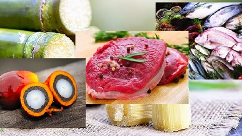 THỊ TRƯỜNG THỰC PHẨM THẾ GIỚI VÀ VIỆT NAM THÁNG 10 NĂM 2025: PHÂN TÍCH VÀ DỰ BÁO