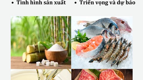 THỊ TRƯỜNG THỰC PHẨM THẾ GIỚI VÀ VIỆT NAM THÁNG 2 NĂM 2026: PHÂN TÍCH VÀ DỰ BÁO