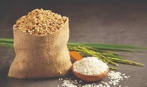 Giá gạo xuất khẩu của Việt Nam ngày 11/3 duy trì ở mức tốt