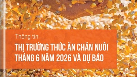 Thị trường thức ăn chăn nuôi tháng 6 năm 2026 và dự báo
