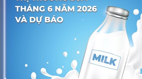 THÔNG TIN THỊ TRƯỜNG SỮA THÁNG 6/2026 VÀ DỰ BÁO