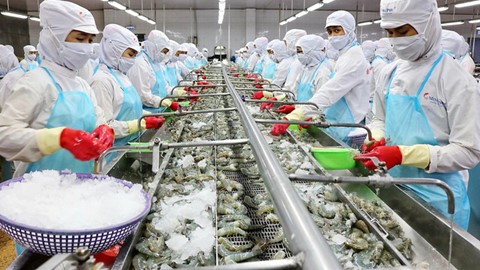 Hoa Kỳ khởi xướng điều tra chống trợ cấp đối với SP tôm nước ấm đông lạnh NK từ Việt Nam
