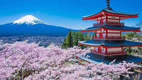 Xuất khẩu sang Pháp 2 tháng đầu năm 2026 tăng trưởng