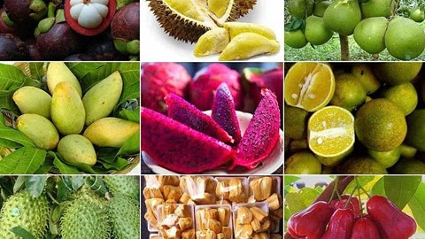 “Cửa sáng” cho nông sản Việt vào Nhật
