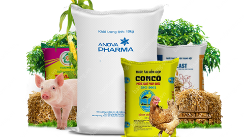 Nhập khẩu thức ăn gia súc từ các thị trường 2 tháng đầu năm 2026 