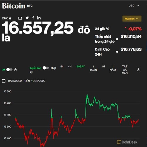 Giá Bitcoin hôm nay 25/11: Tiếp tục khởi sắc - Ảnh 1.