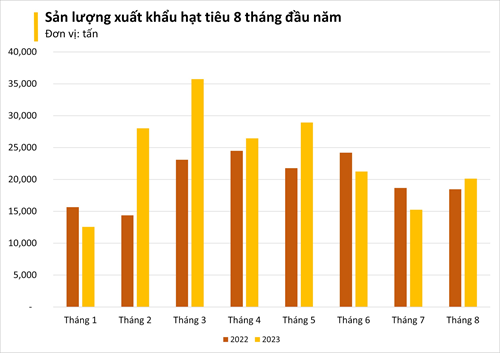 Một mặt hàng nông sản của Việt Nam cực kỳ 'đắt hàng' trên thế giới, xuất khẩu sang nhiều quốc gia tăng trưởng đột biến ba chữ số - Ảnh 1.