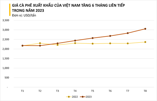 Một loại hạt của Việt Nam đang được Indonesia vô cùng ưa chuộng: nhập khẩu tăng 3 chữ số, Việt Nam xuất khẩu đứng thứ 2 thế giới - Ảnh 1.
