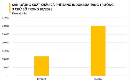 Một loại hạt của Việt Nam đang được Indonesia vô cùng ưa chuộng: nhập khẩu tăng 3 chữ số, Việt Nam xuất khẩu đứng thứ 2 thế giới - Ảnh 2.