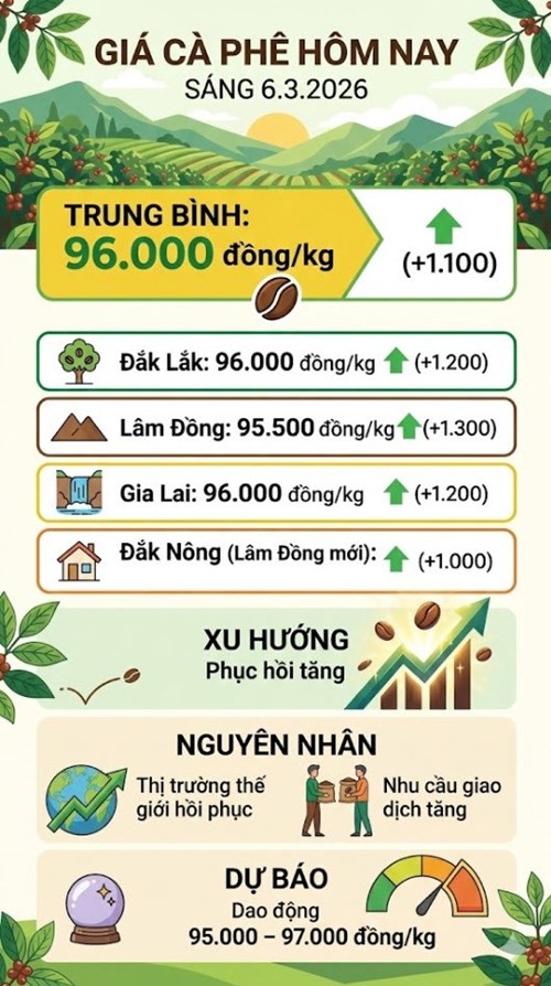 Giá cà phê hôm nay 6.3: Nhiều nơi chạm 96.000 đồng/kg - ảnh 3