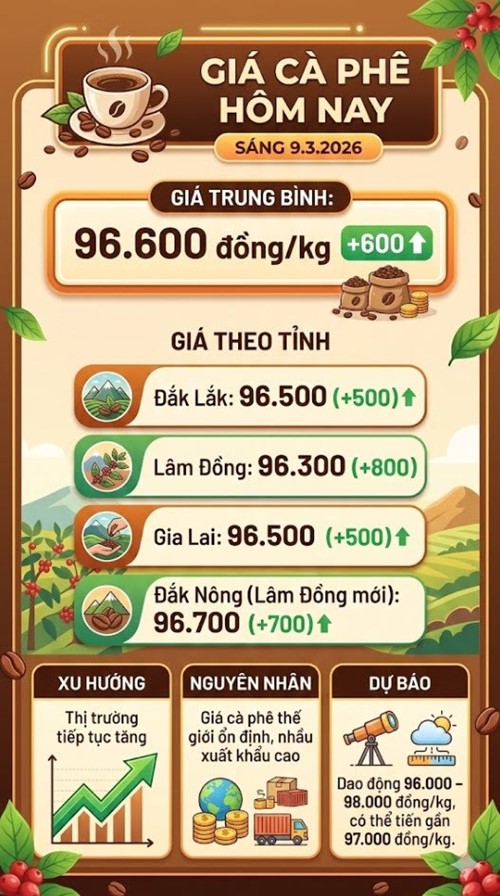 Giá cà phê hôm nay 9.3: Tây Nguyên giữ mốc 96.600 đồng/kg - ảnh 3