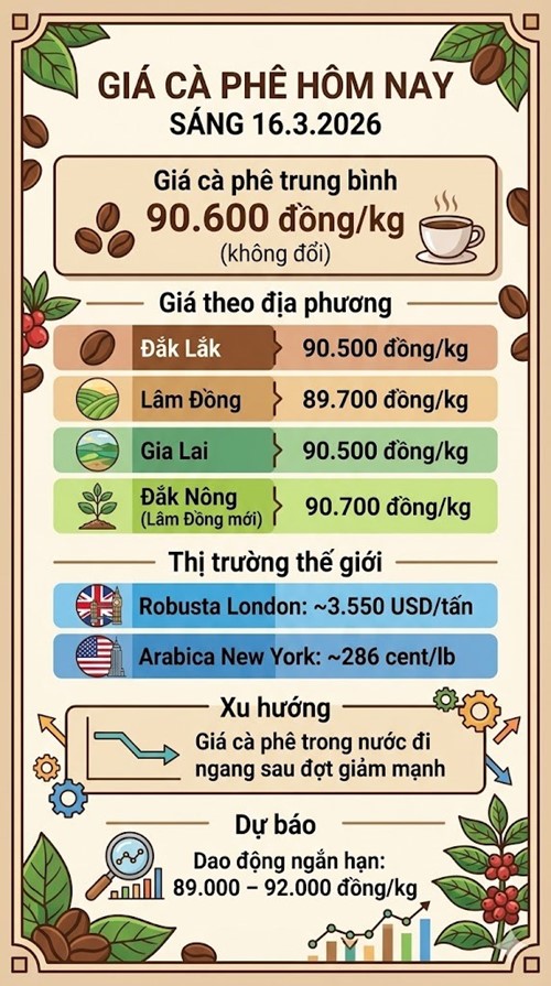 Giá cà phê hôm nay 16.3: Ổn định sau cú giảm mạnh - ảnh 3
