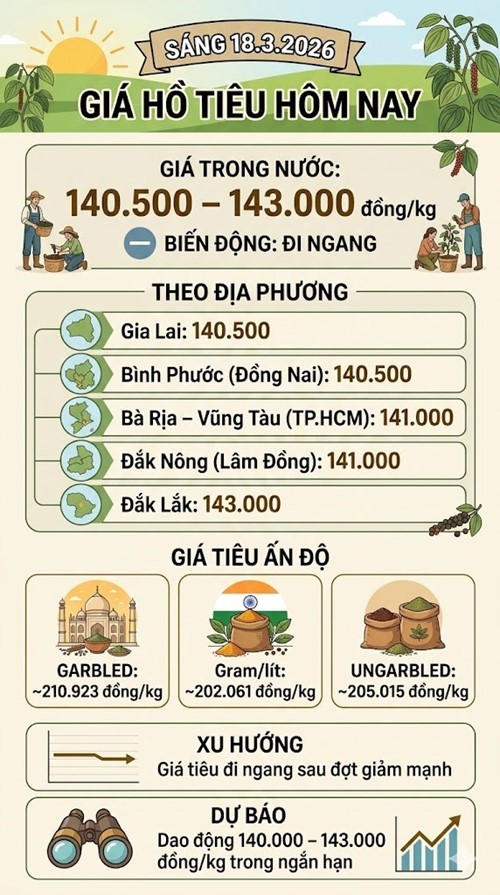 Giá hồ tiêu hôm nay 18.3 đi ngang sau đợt giảm sâu - ảnh 3