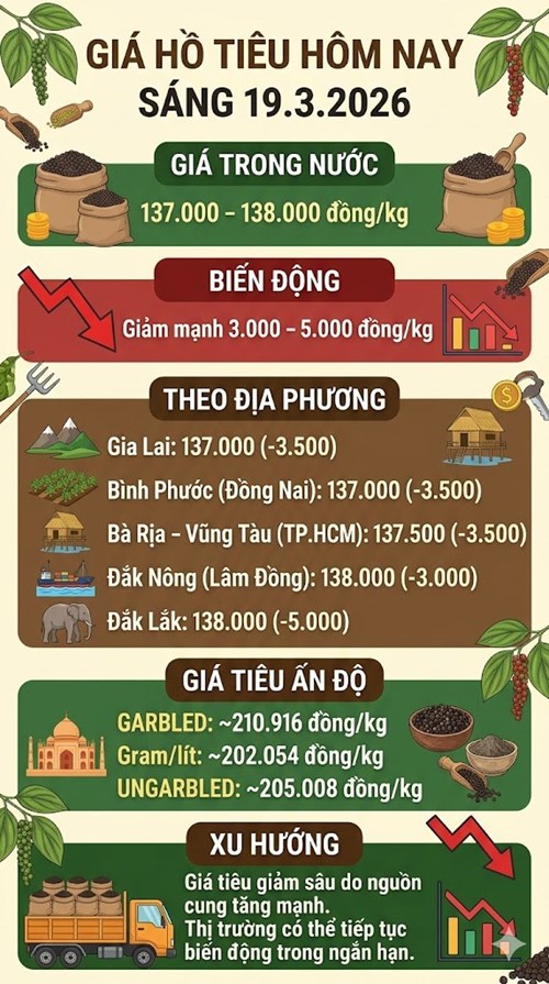 Giá hồ tiêu hôm nay 19.3: Giảm sốc tới 5.000 đồng/kg - ảnh 3