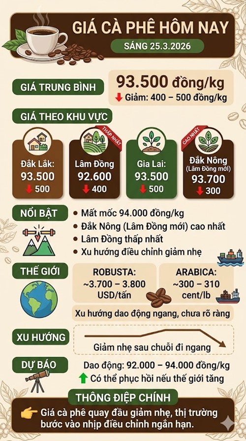 Giá cà phê hôm nay 25.3: Giảm còn 93.500 đồng/kg - ảnh 3