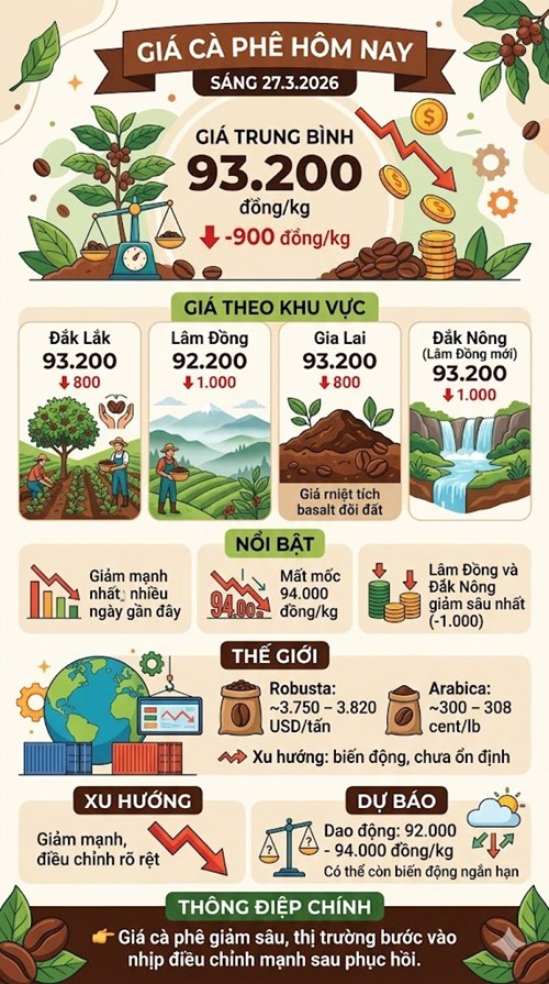 Giá cà phê hôm nay 27.3: Giảm mạnh 900 đồng/kg - ảnh 3