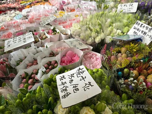 Chợ hoa Đẩu Nam hiện nay có với hơn 1.000 giống hoa khác nhau. 80% hoa cắt tươi của tỉnh Vân Nam và các quốc gia, tỉnh thành lân cận được giao dịch tại đây.