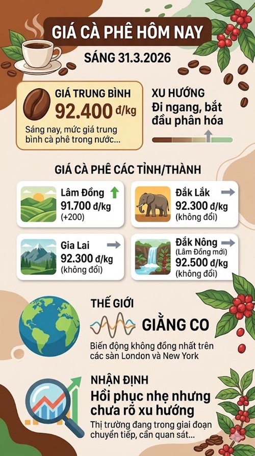 Giá cà phê hôm nay 31.3: Lâm Đồng bất ngờ tăng - ảnh 3