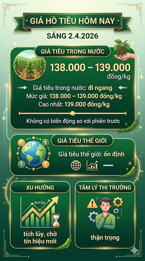 Giá hồ tiêu hôm nay 2.4: Đi ngang, neo thấp sau đợt giảm sâu - ảnh 3