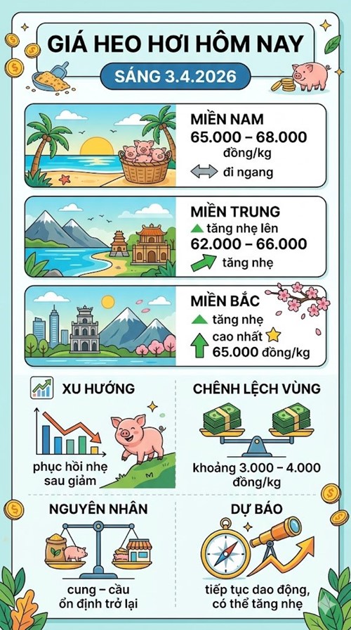 Giá heo hơi hôm nay 3.4: Miền Bắc, Trung phục hồi - ảnh 3