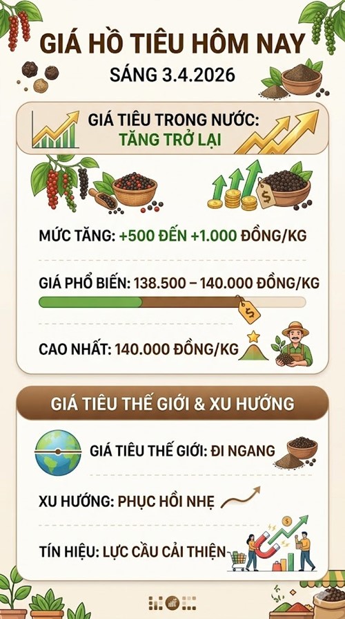 Giá hồ tiêu hôm nay 3.4: Tây Nguyên bật tăng mạnh - ảnh 3