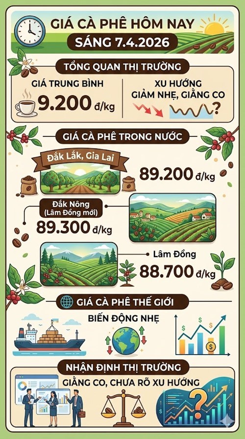 Giá cà phê hôm nay 7.4: Mất đà tăng, thị trường điều chỉnh nhẹ - ảnh 3