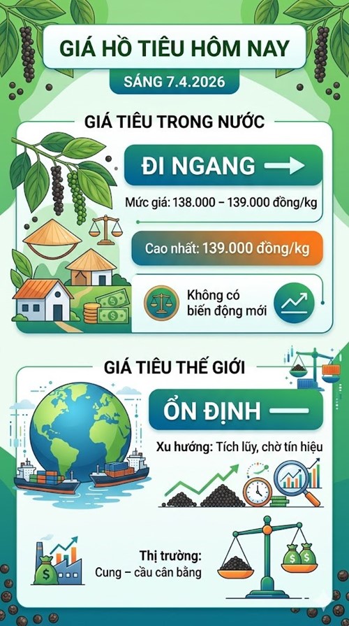 Giá hồ tiêu hôm nay 7.4: Thị trường chững lại, chưa có đột biến - ảnh 3