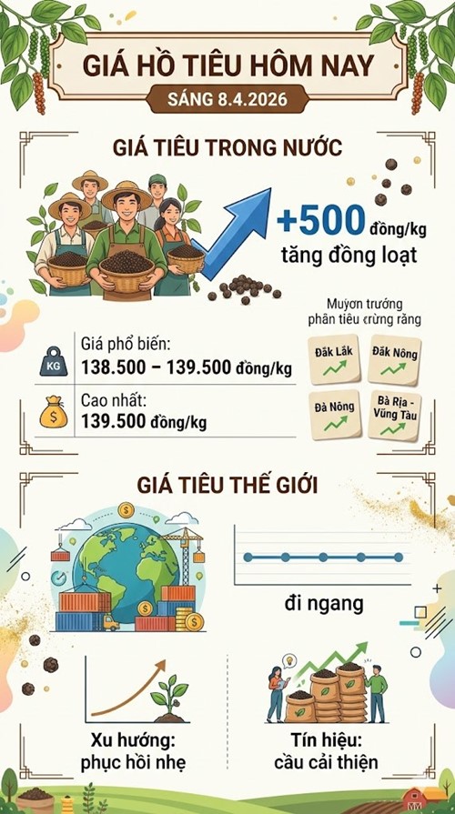 Giá hồ tiêu hôm nay 8.4: Đồng loạt tăng 500 đồng/kg - ảnh 3