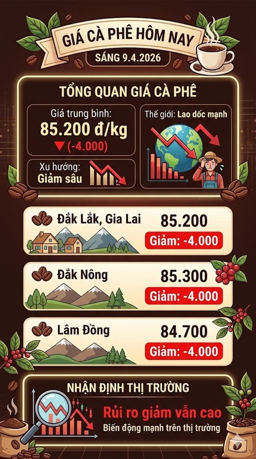 Giá cà phê hôm nay 9.4: Lao dốc mạnh chưa từng thấy - ảnh 3