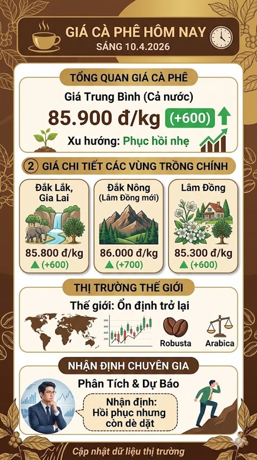 Giá cà phê hôm nay 10.4: Bật tăng nhẹ sau chuỗi giảm sâu - ảnh 3